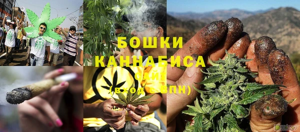 дживик Белоозёрский